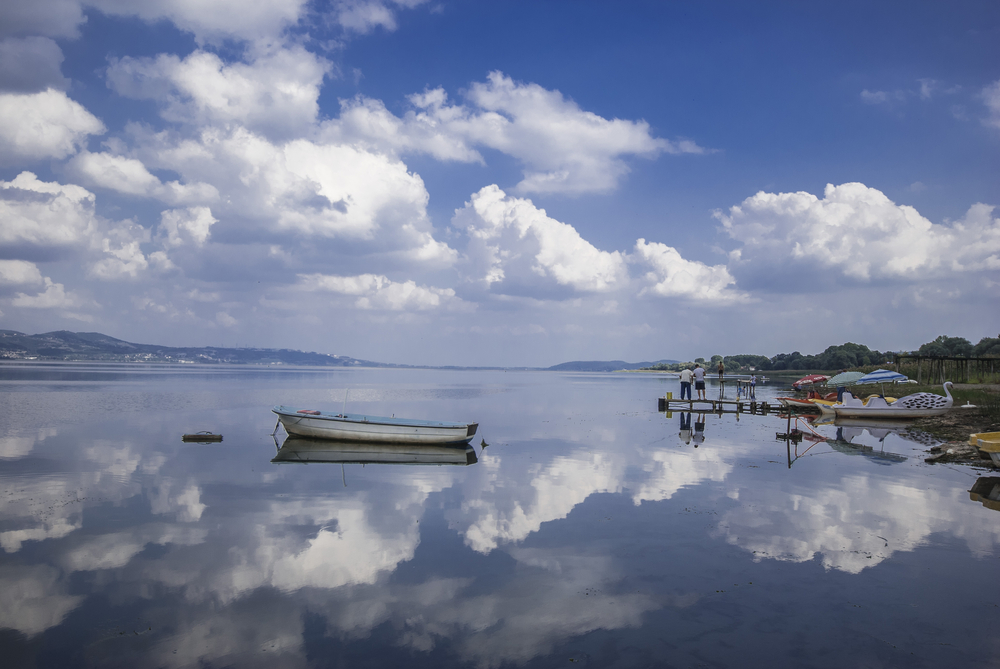 Turkey Lake and Landscapes