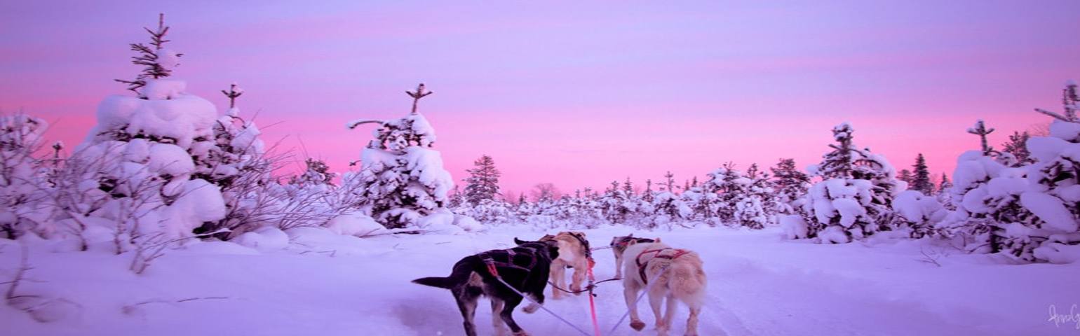 Lapland Turları ( Direkt Uçuş ile )