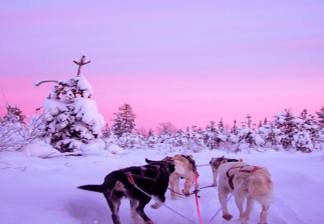 Lapland Turları ( Direkt Uçuş ile )